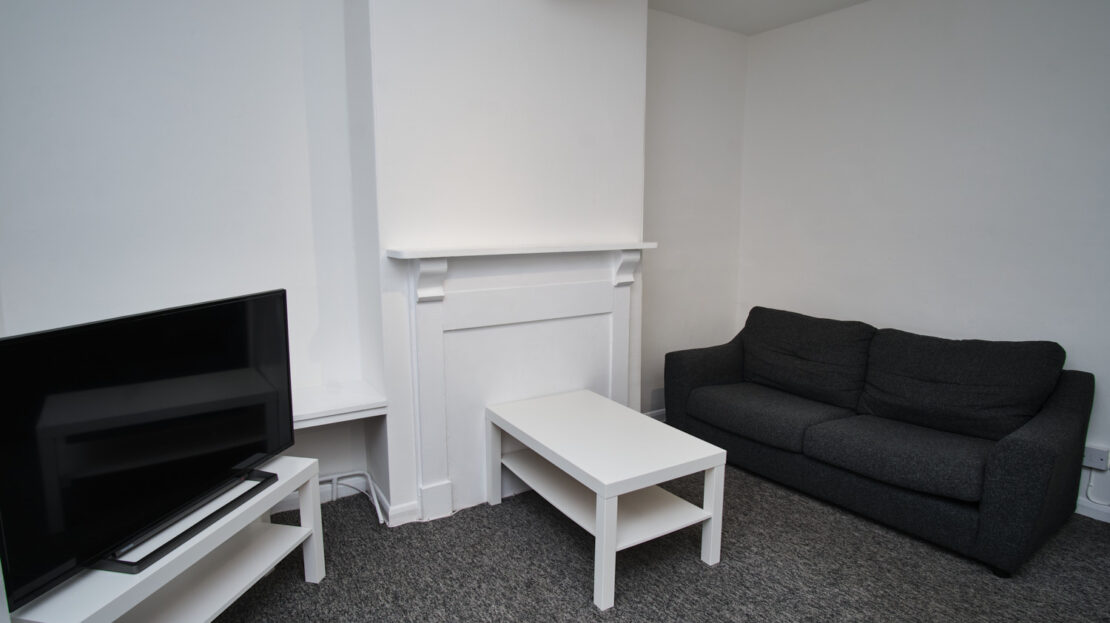 video image